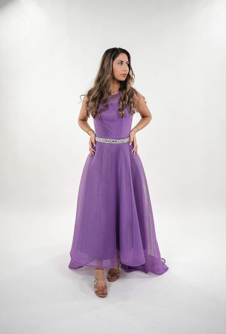 Priscilla mesh sleeveless princess maxi dress with crystallized adjustable belt
