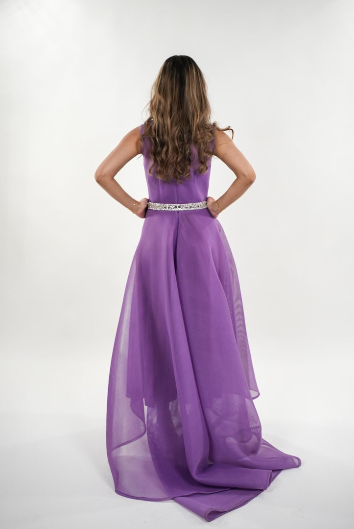 Priscilla mesh sleeveless princess maxi dress with crystallized adjustable belt