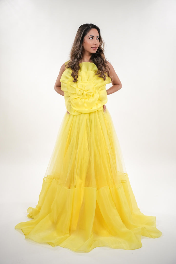 Sylvia tulle rose appliqué sleeveless maxi dress