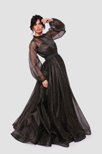 Load image into Gallery viewer, Noella Shimmering Metallic Tulle With Ruffle Trim Neck Maxi Dress
