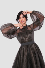Load image into Gallery viewer, Noella Shimmering Metallic Tulle With Ruffle Trim Neck Maxi Dress
