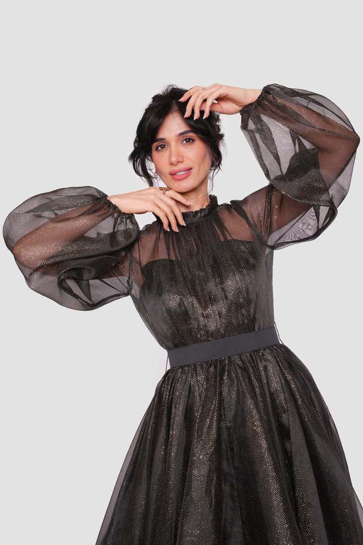 Noella Shimmering Metallic Tulle With Ruffle Trim Neck Maxi Dress