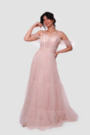 Rozana Blush Pink Tulle With Silver Floral Embellishments Bustier Maxi Dress