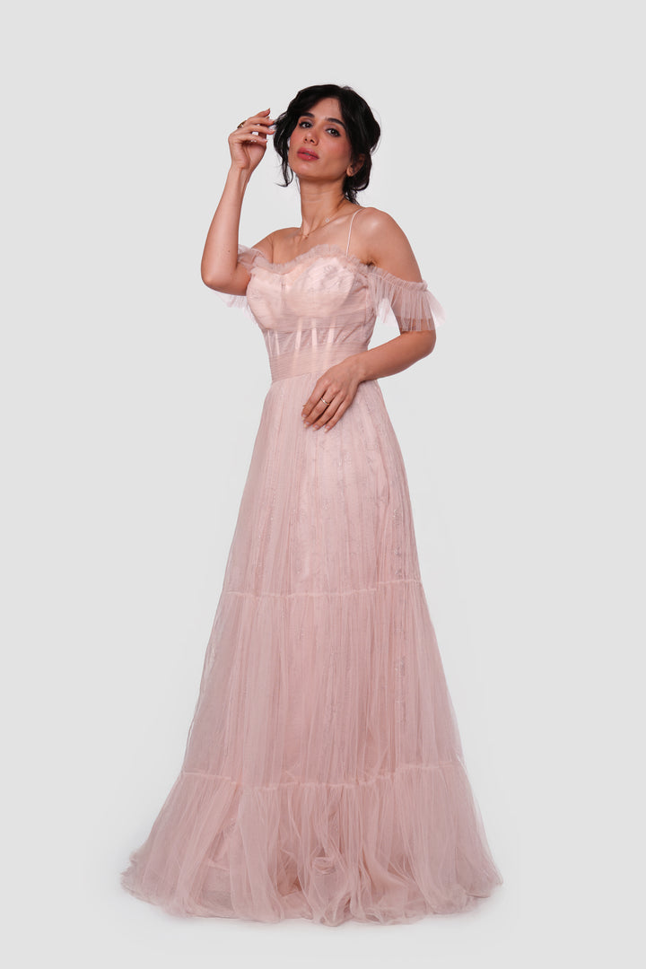 Rozana Blush Pink Tulle With Silver Floral Embellishments Bustier Maxi Dress
