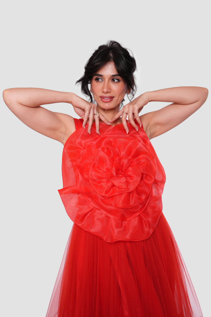 Florenca Red Tulle With Floral Appliqué Maxi Dress